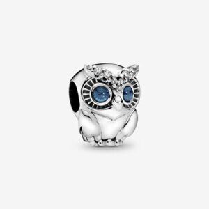 🌺Pandora Shining Owl Charm